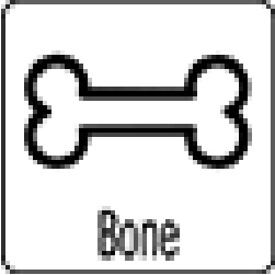bone_os.jpg