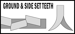 side-teeth.jpg